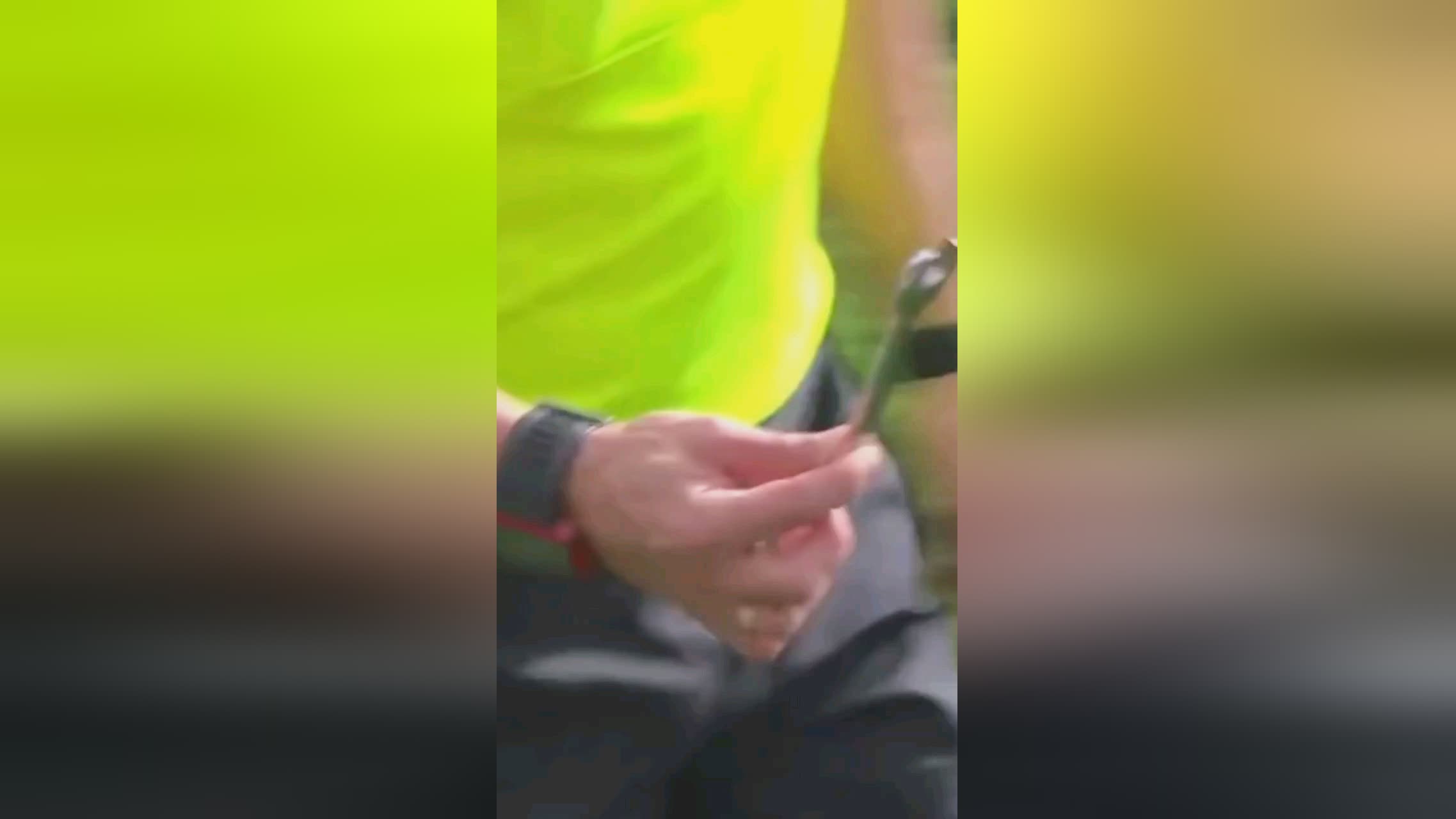 成员的